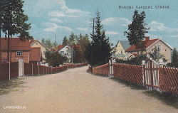 Horndal. Gatuparti, Villahed 1915