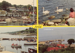 Arild 1989