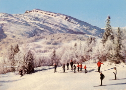 Storlien, Vinternöje på Skurdalshöjden. i bakgrunden Stenfjället 1970 Storlien, Vinternöje på Skurdalshöjden. i bakgrunden Stenfjället 1970