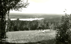 Kopparberg, Ställdalen, Utsikt från Norra Björkberg