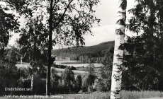 Nora, Utsikt från Nyhyttans Badanstalt, Järnboås 1955