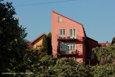 Rosa huset