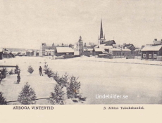Arboga Vintertid 1905