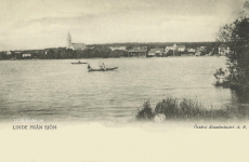 Linde från sjön 1903