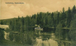 Ångbåten vid Markusdalen 1915