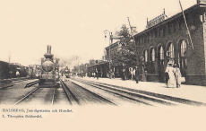 Halsberg, Jernvägsstation och Hotellet 1903