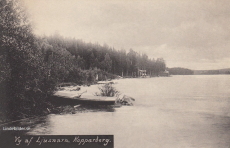 Vy af Ljusnarn. Kopparberg 1910