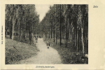 Sala Lärkträdsplanteringen 1910