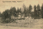 Fagersta, Ingeniörsbostaden, Tallebo 1908