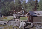Eskilstuna, Parken Zoo
