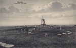 Öland, Ottenby Gammalt Gravfält 1920