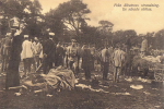 Gotland, Från Albatross Strandning, De sårade skötas 1915