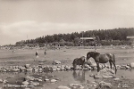 Öland, Borgholm vid Sjöstugan 1951