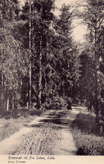 Hällefors, Promenad vid Norra Loken, Loka 1906