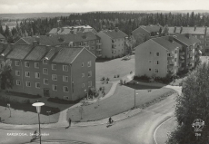 Karlskoga Skogsrundan 1955