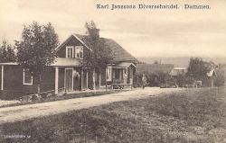 Karl Janssons Diversehandel. Dammen 1915