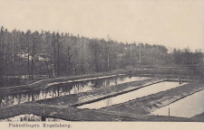 Fagersta, Fiskodlingen Engelsberg 1907