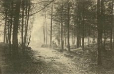 Lärkbacken Sala 1916