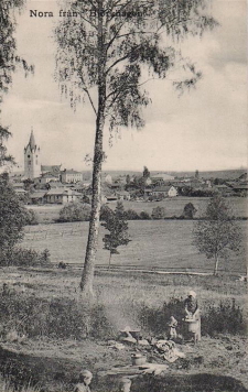 Nora från Björkhagen 1908